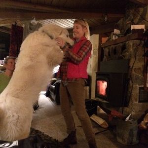 Meet your Posher, Natalie